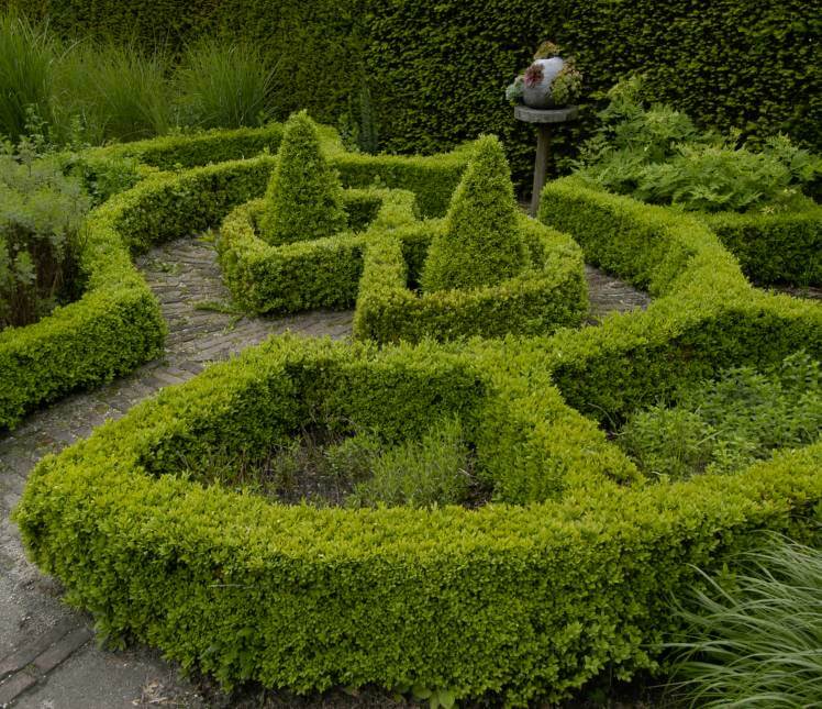 Niedrige Hecke Beispiel